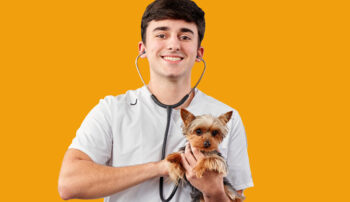 Veterinary Assistant Program