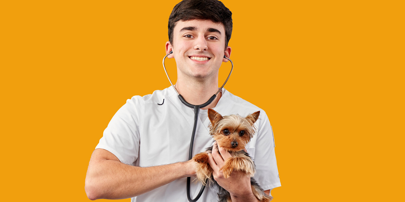 Trocaire College Launches Veterinary Assistant Program