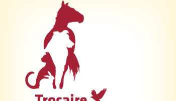 Trocaire College Veterinary Sciences