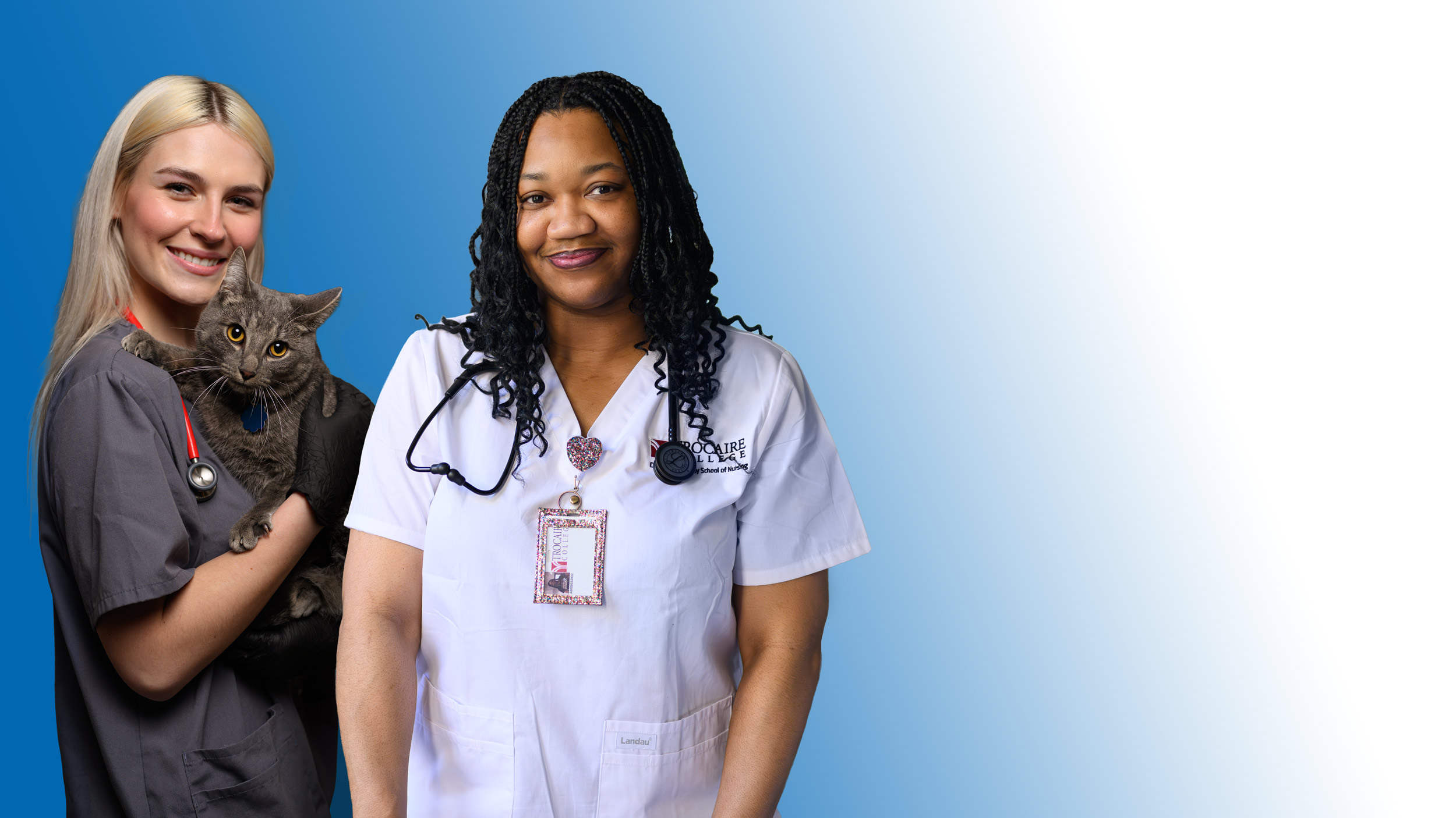 Veterinary Sciences and Nursing Scholarships