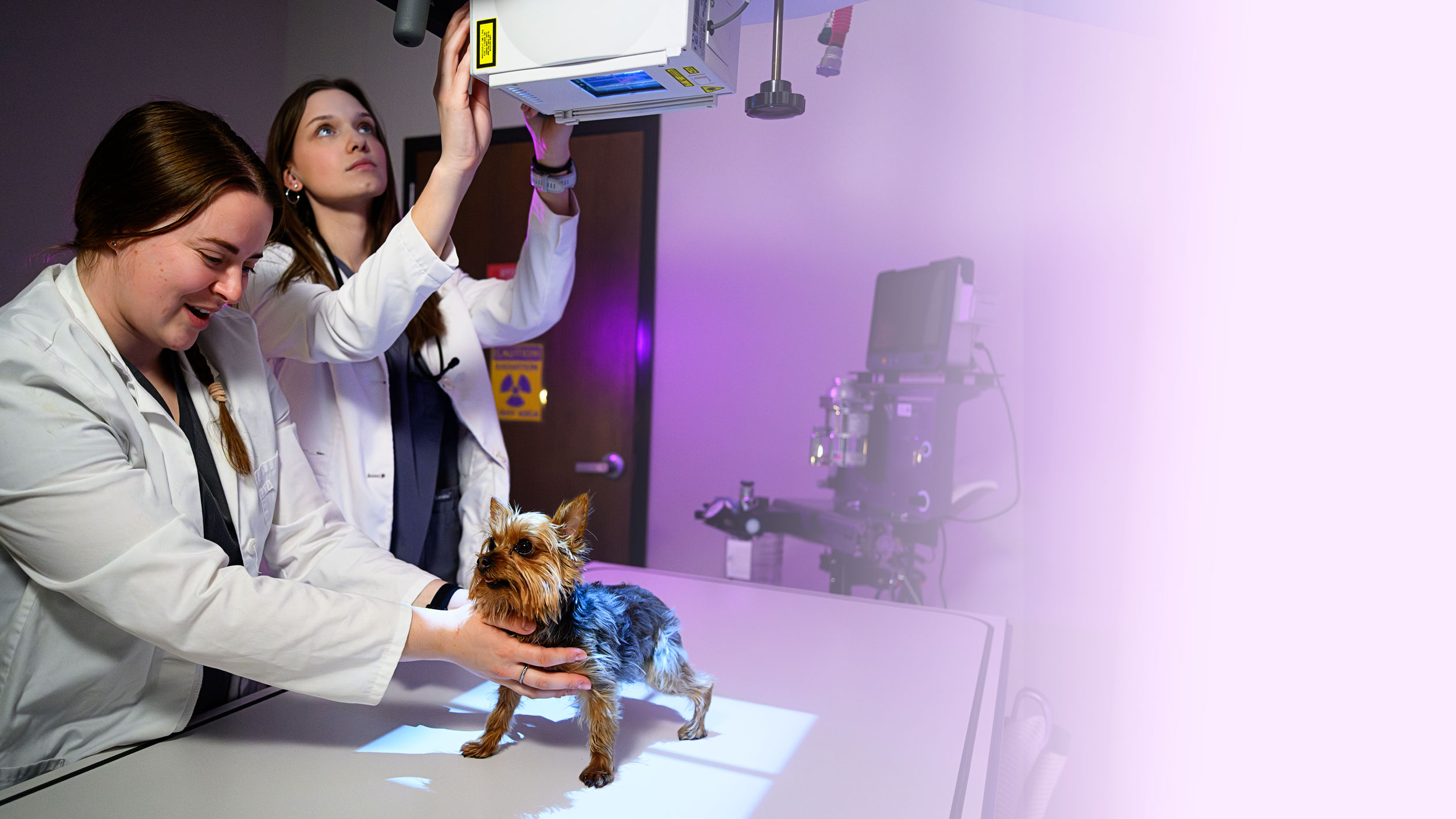Veterinary Sciences Scholarship